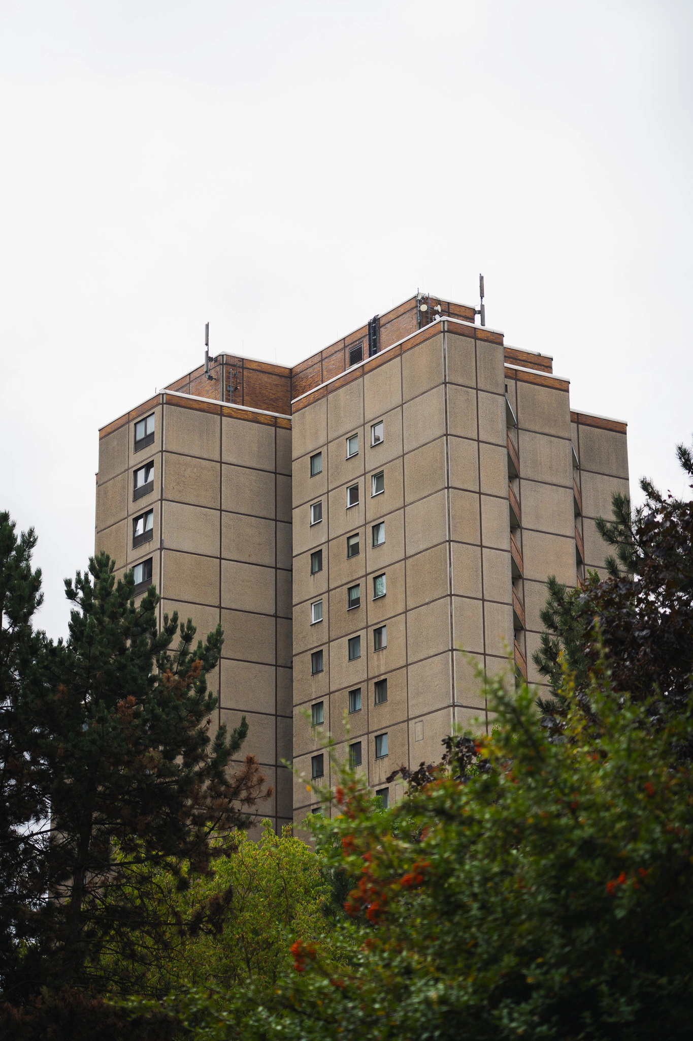 Prefab tower blocks and trees