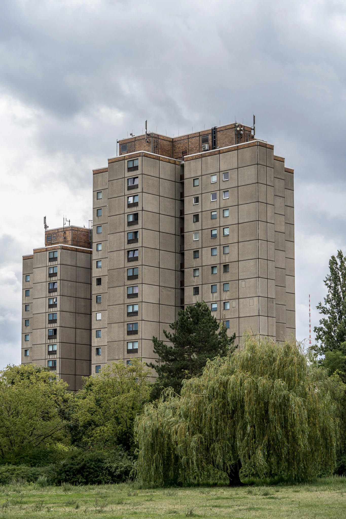 Concrete tower blocks rising above a weeping willow