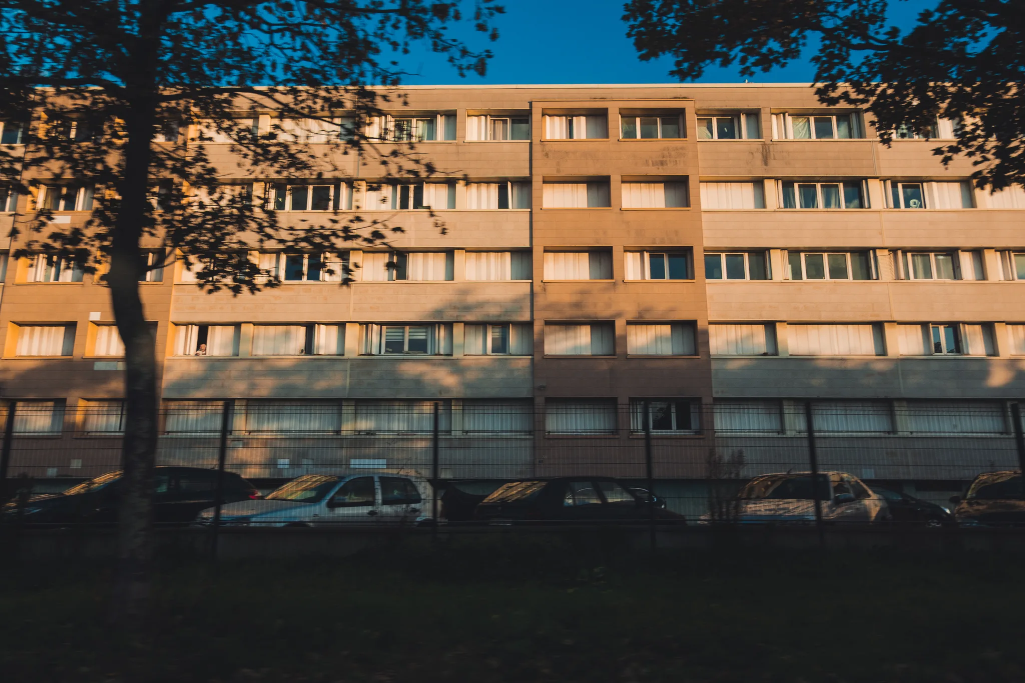 Apartment block in golden morning light behind trees and parked cars