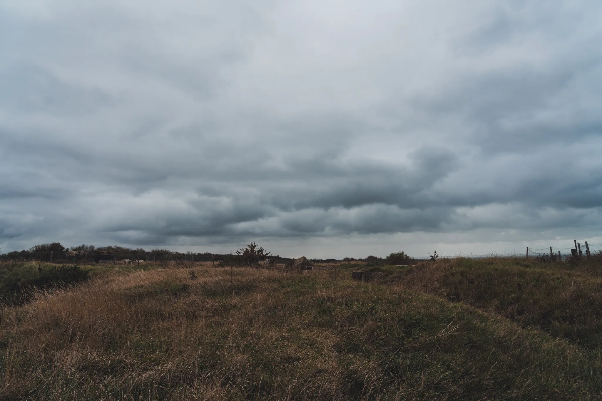 Dry grassland on the coast under a heavy grey sky