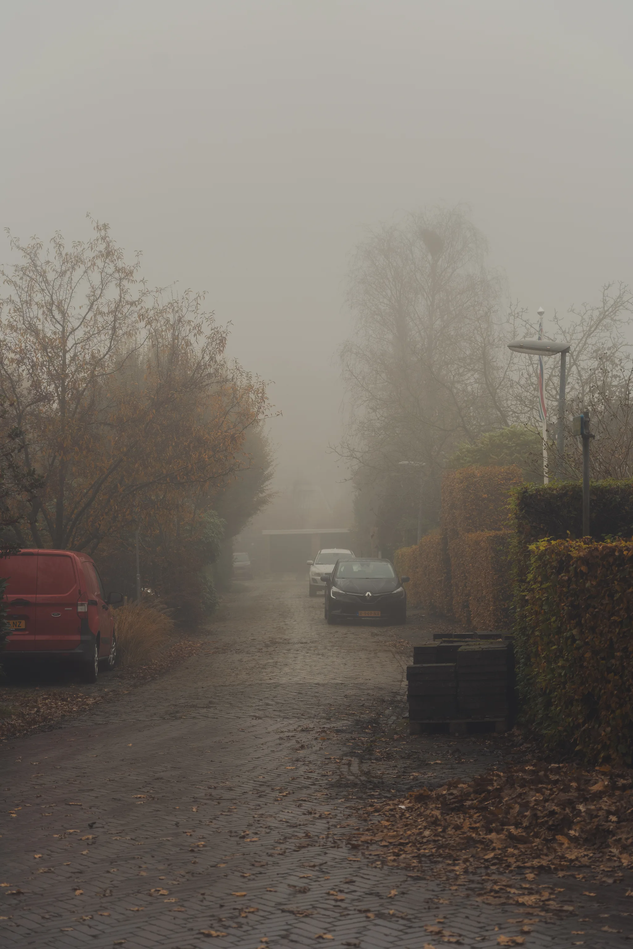 Foggy autumn morning in the Netherlands