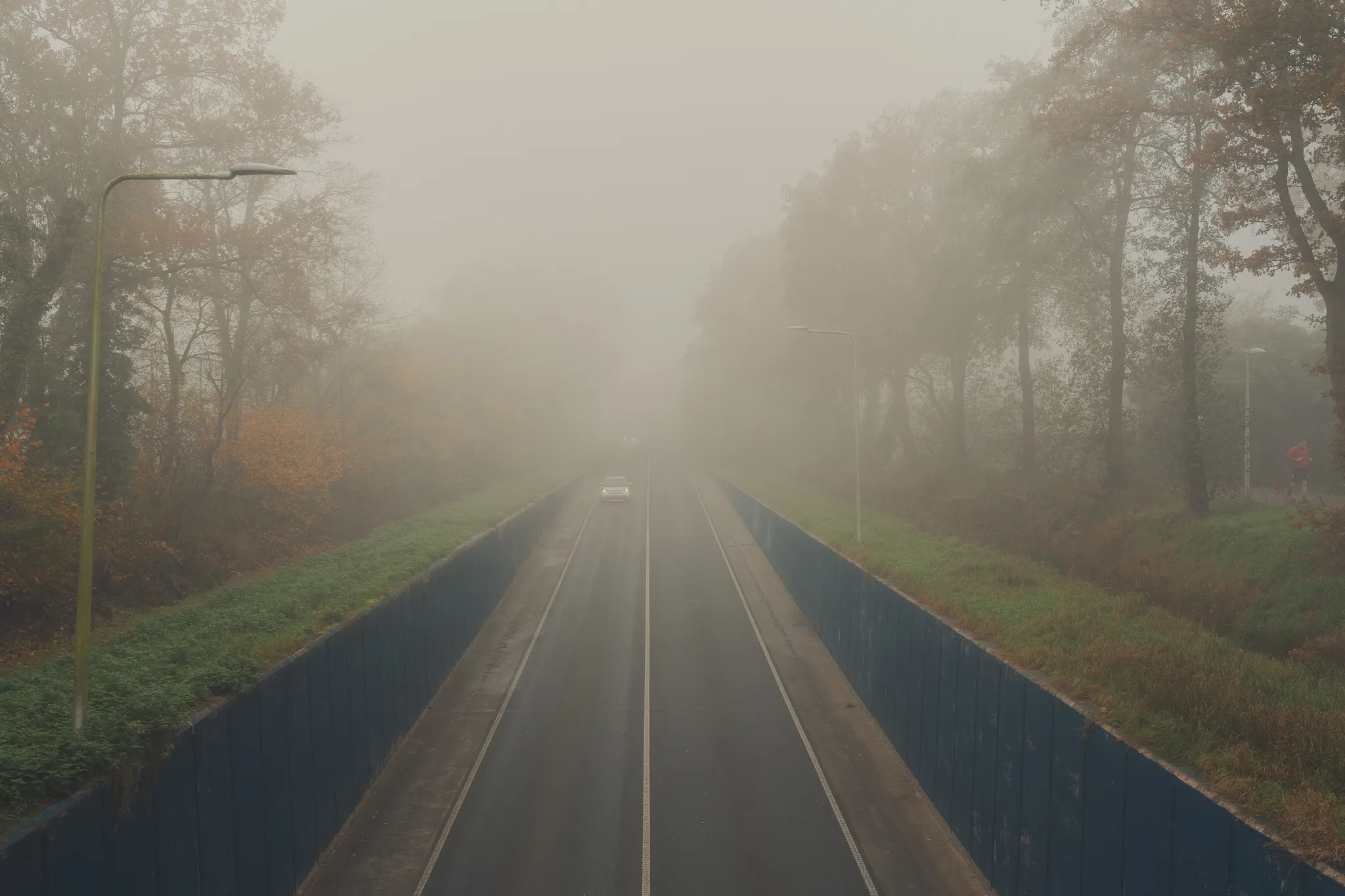 Foggy autumn landscape