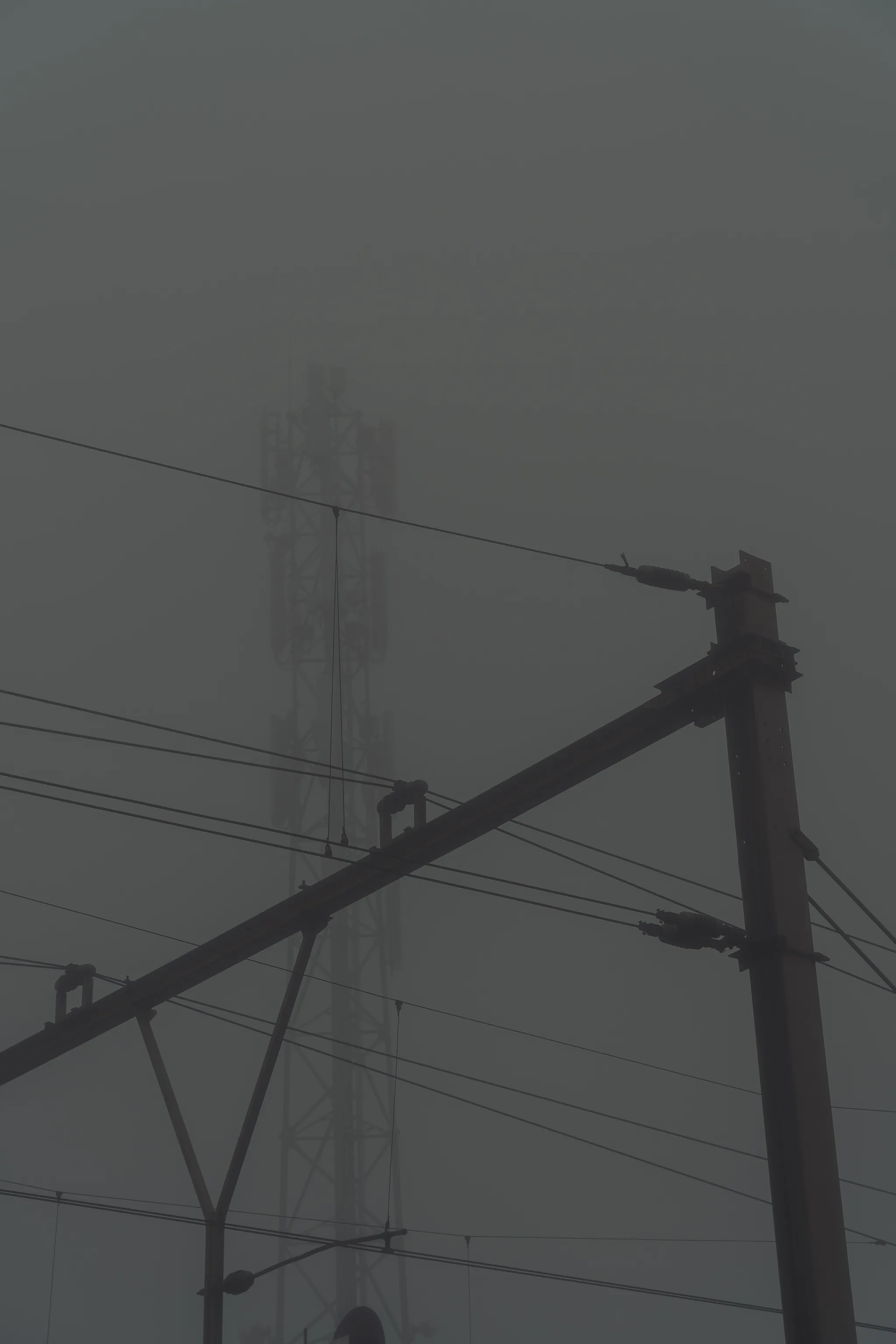 Autumn mist in the Netherlands