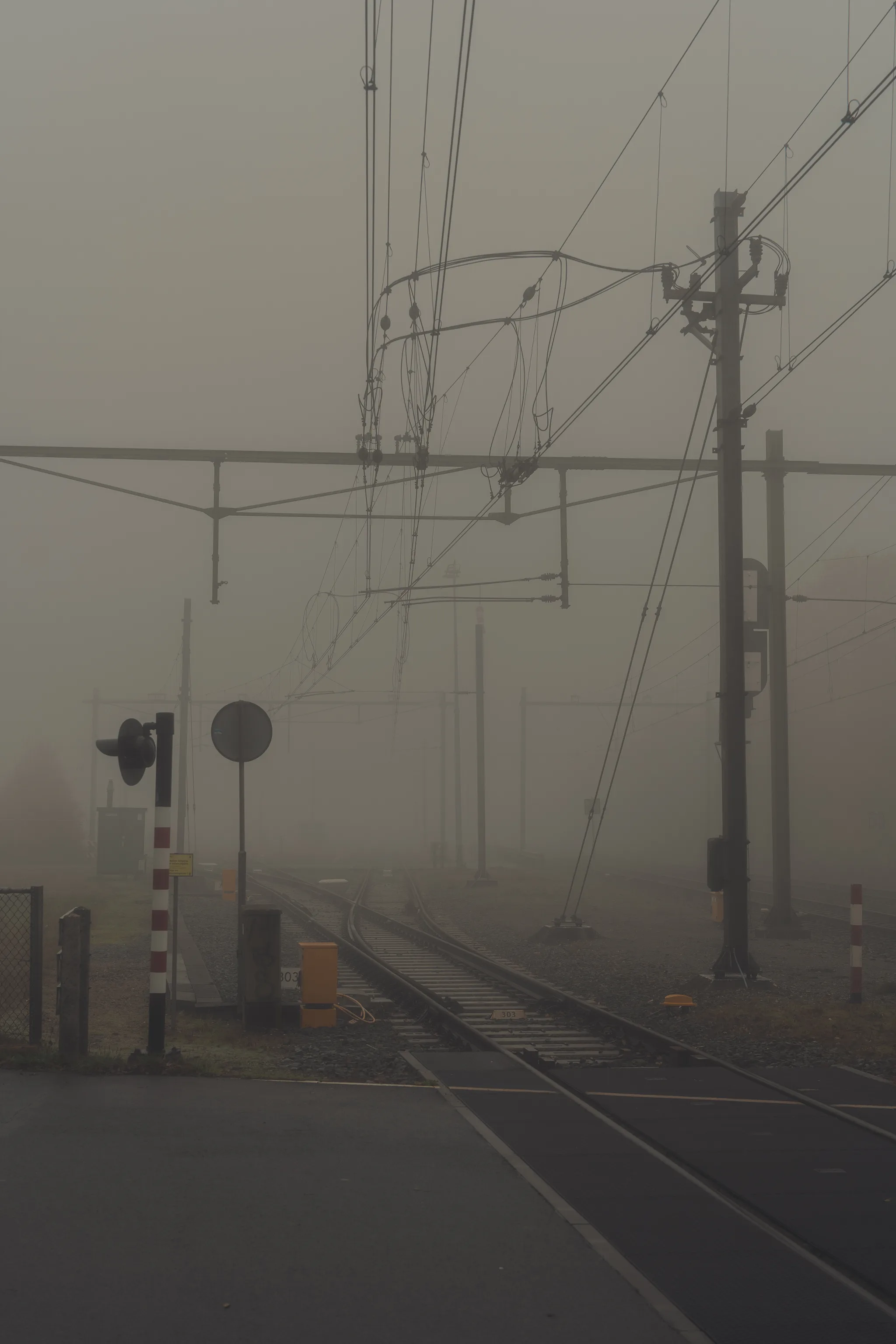 Misty autumn morning