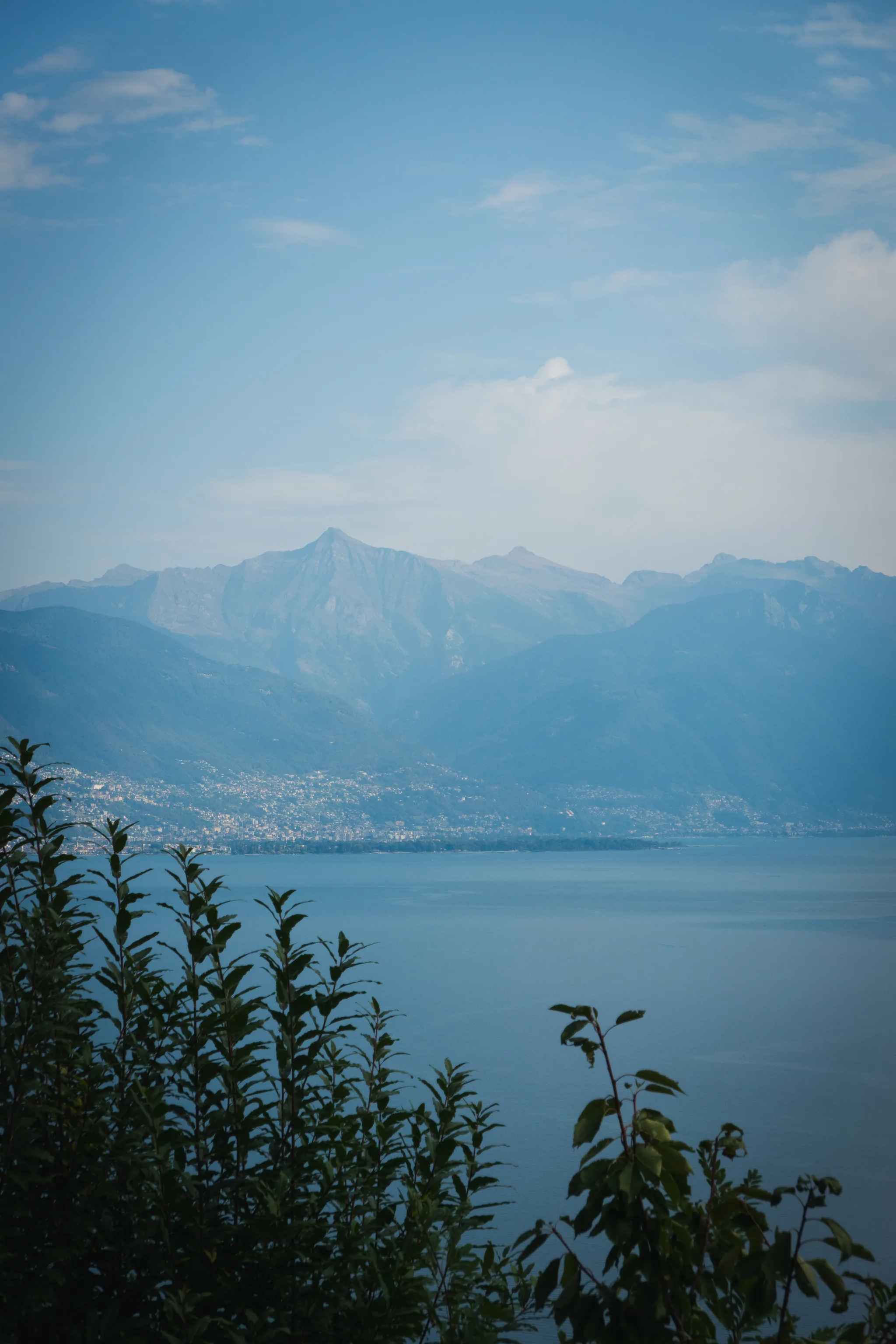 View over bushes to the blue lake and the towns at the foot of the mountains at its northern end