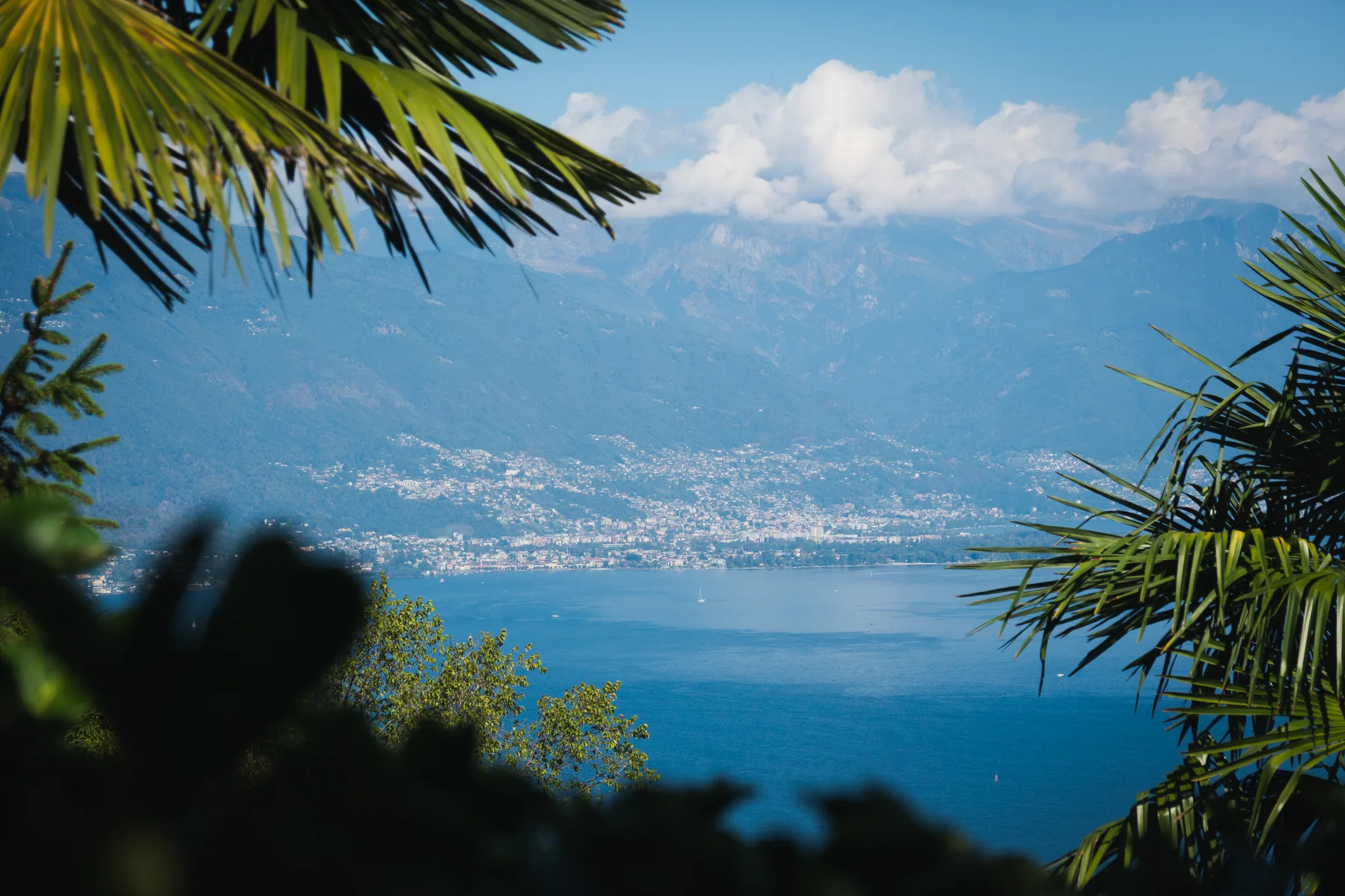 Locarno and the northern end of the lake seen through palm fronds, clouds over the mountains